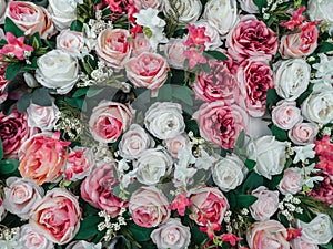 Close up of colorful artificial roses flowers wall background .