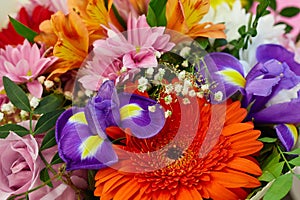 Close-up colorful bouquet of flowers. Red gerbera, pink chrysanthemum, blue irises, pink rose, orange Alstroemeria