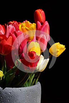Close up of a colorful bouquet of tulips standing in a flower vase in front of a dark background, in vertical format