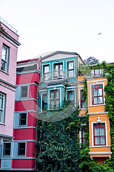 Close up of colorful buildings in Balat Istanbul with green creepers