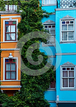 Close up of colorful buildings in Balat Istanbul with green creepers