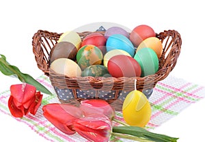 Close up of colorful Easter eggs in a basket and colorful tulip decorations on an isolated white
