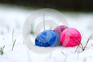 Close up of colorful easter eggs in snow, bury background