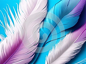 A close-up of colorful feathers on a blue background.