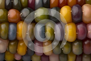 Close up of colorful gem glass corn on cob