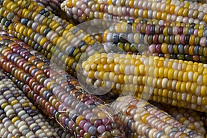 Close up of colorful gem glass corn on cob