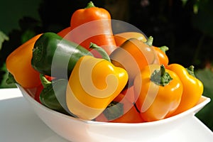 A close up of colorful mini bell peppers. Raw organic sweet yellow, orange and green peppers on a white plate