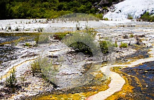 Close up of colorful rainbow sinter terrace covered with yellow and white microbial mats