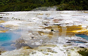 Close up of colorful rainbow sinter terrace covered with yellow and white microbial mats and steaming hot pools