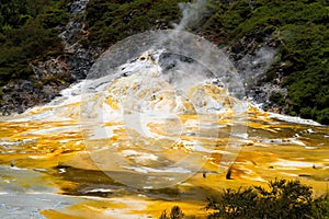 Close up of colorful rainbow sinter terrace covered with yellow and white microbial mats and steaming hot pools