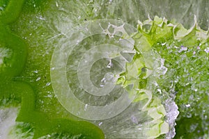 Close-up of a colorful stone