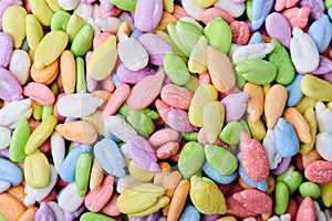 Close up of colorful sunflower seeds