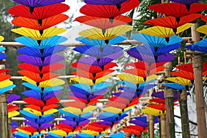 Colorful umbrellas hanging on bamboo wood at Chiang Mai Flower Festival