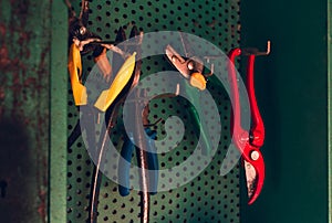 Close up of colorful worktools scissors, pruning shears, Pliers hanging on green wall in shed. Illuminated photo of stack of
