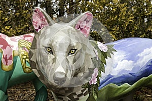 Close up of colorfully painted wolf face