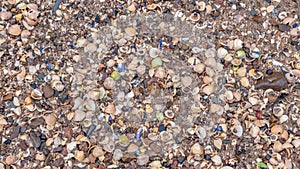 Close up of colourful old shells on a beach of various shapes and sizes