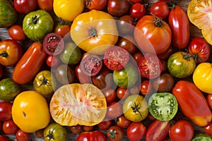 Close up of colourful tomatoes, topview