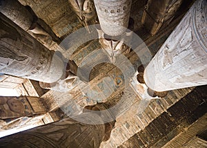 Close-up of columns and ceiling covered in hieroglyphics