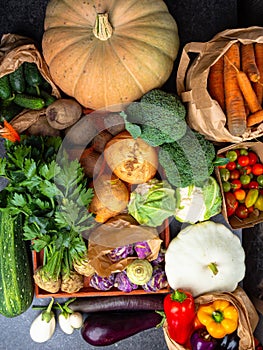 close up of Composition with assorted raw organic vegetables, Healthy harvest food concept. Detox diet, copy space