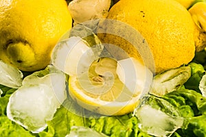 Close up composition of fresh lemons and ice on salad