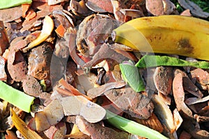 Close up compost bin contents. Recycling.