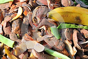 Close up compost bin contents. Recycling. photo