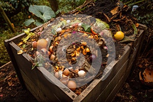 close-up of composting bin with odors, worms, and other signs of decomposition photo