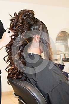 Concept cut salon female stylist hairdresser