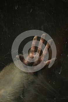 Monkey trapped inside a glass cage held in captivity