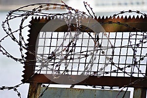 Coiled barb wire on rusty metal barrier