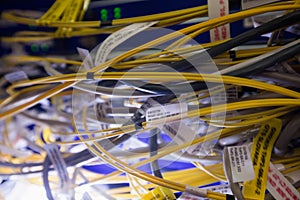 Close-up of connected wires of rack mounted server