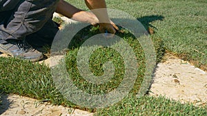 CLOSE UP: Contractor is shaping up squares of grass while landscaping a yard.