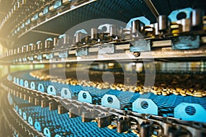 Close up of conveyor line at Confectionary factory, food industry. Cookie and pastry production