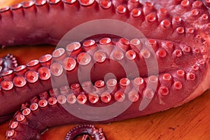 Close up of cooked octopus tentacles, pulpo a feira. Galicia, Spain photo