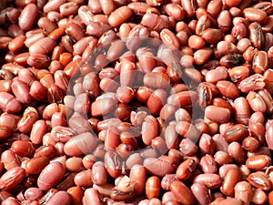 Close up cooked red kidney beans