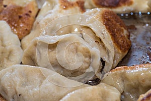 Close up cooking fried dumplings in a frying pan. Chinese food with hot steams.