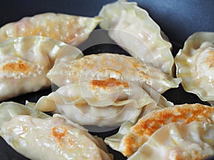 Close up cooking fried dumplings in a frying pan. Chinese food with hot steams