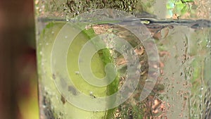 Close up of cool icy tonic with lime in a glass at a relaxing tropical setting