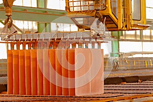 Close-up of copper cathodes