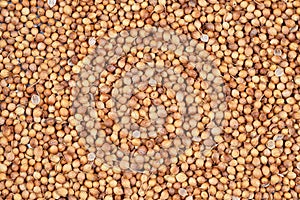 Close up of coriander seed