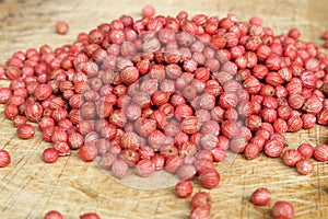 Coriander seed background