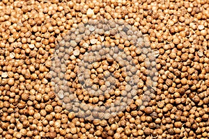 Close up of coriander seeds