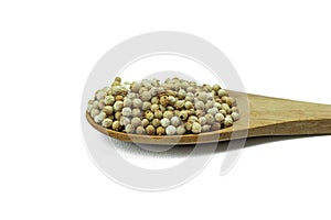 Close-up of Coriander seeds on wooden spoon isolated on white background