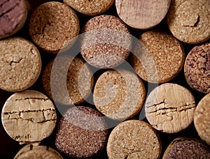 Close up of cork