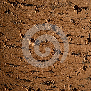 Close-up of a cork surface, showing its natural texture and pattern. The material is