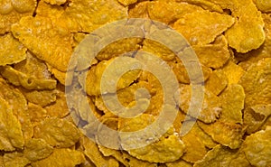 Close-up of corn flakes