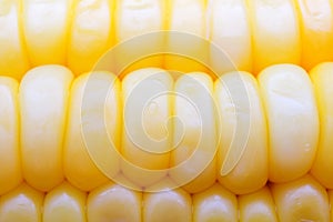 Close up corn