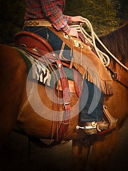 Close-up of cowgirl in the saddle on her red brown horse