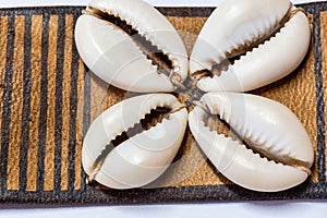 Close up of Cowrie shells belt from Nigeria