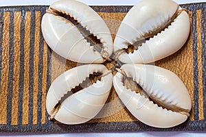 Close up of Cowrie shells belt from Nigeria